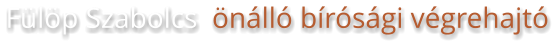Fülöp Szabolcs  önálló bírósági végrehajtó